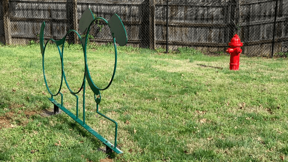 On-site dog park